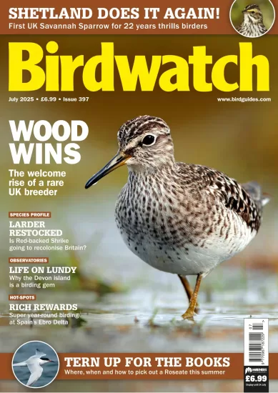 Birdwatch UK-英国观鸟杂志2025.07月号下载订阅-易外刊-英语外刊杂志电子版PDF下载网站