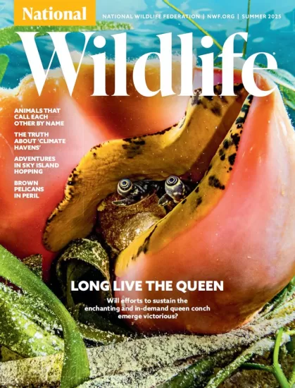 National Wildlife-国家野生动物2025年夏季刊下载订阅-易外刊-英语外刊杂志电子版PDF下载网站