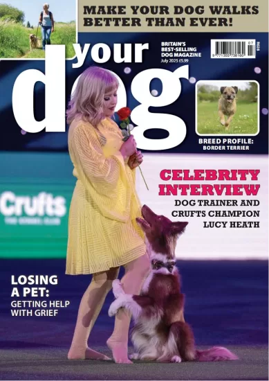 Your Dog-你的狗2025.07月号下载PDF电子版网盘杂志订阅-易外刊-英语外刊杂志电子版PDF下载网站
