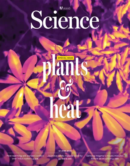 Science-科学杂志2025.06.12期下载电子版PDF网盘NO. 6752订阅-易外刊-英语外刊杂志电子版PDF下载网站