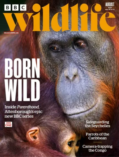 BBC Wildlife-野生动物2025.08月号下载PDF电子版网盘杂志订阅-易外刊-英语外刊杂志电子版PDF下载网站