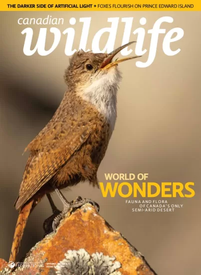 Canadian Wildlife-加拿大野生动物杂志2025.09&10月号下载订阅-易外刊-英语外刊杂志电子版PDF下载网站
