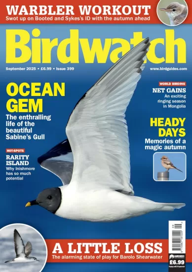 Birdwatch UK-英国观鸟杂志2025.09月号下载订阅-易外刊-英语外刊杂志电子版PDF下载网站