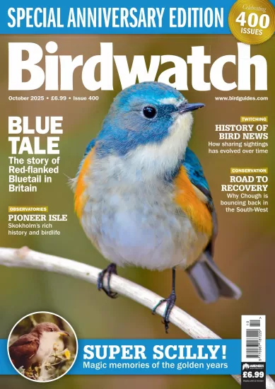 Birdwatch UK-英国观鸟杂志2025.10月号下载订阅-易外刊-英语外刊杂志电子版PDF下载网站