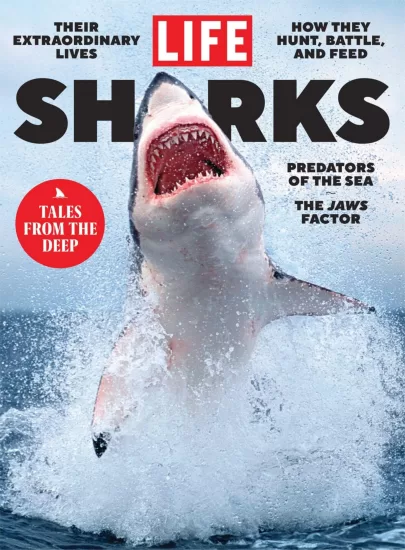 LIFE - Sharks, 2025 生活 - 鲨鱼，2025年-易外刊-英语外刊杂志电子版PDF下载网站