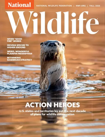 National Wildlife-国家野生动物2025年秋季刊下载订阅-易外刊-英语外刊杂志电子版PDF下载网站