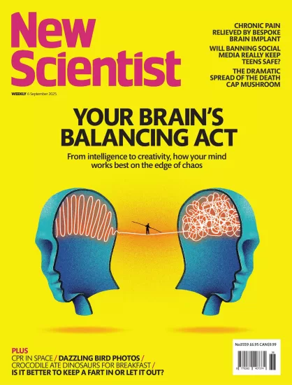 New Scientist International-新科学家2025.09.06期下载PDF电子版网盘杂志订阅-易外刊-英语外刊杂志电子版PDF下载网站