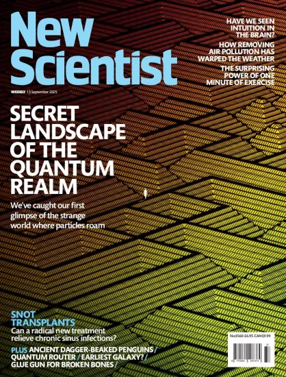 New Scientist USA-新科学家2025.09.13期下载PDF电子版网盘杂志订阅-易外刊-英语外刊杂志电子版PDF下载网站