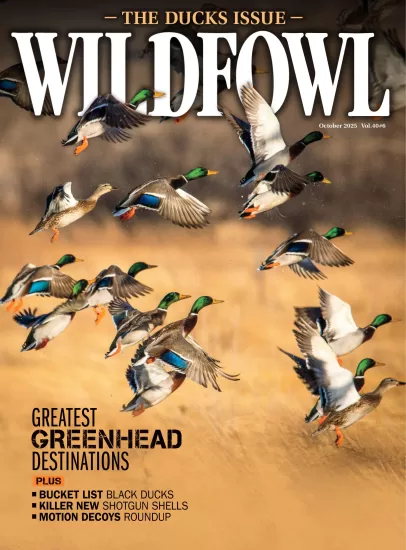 Wildfowl-野禽杂志2025.10月号下载订阅-易外刊-英语外刊杂志电子版PDF下载网站