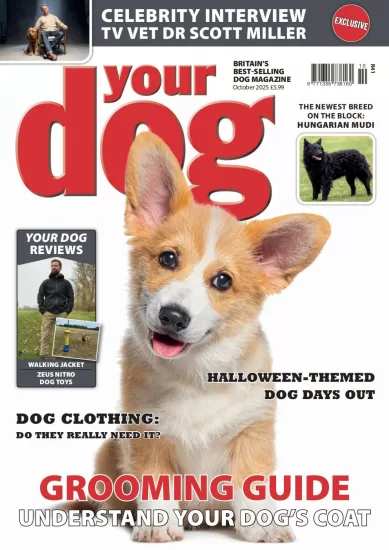 Your Dog-你的狗2025.10月号下载PDF电子版网盘杂志订阅-易外刊-英语外刊杂志电子版PDF下载网站