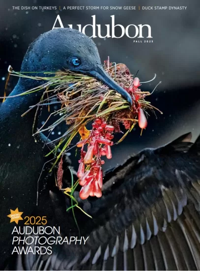 Audubon Magazine-奥杜邦杂志2025年秋季刊下载订阅-易外刊-英语外刊杂志电子版PDF下载网站