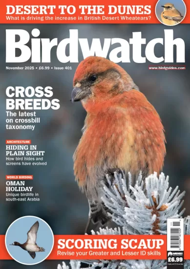 Birdwatch UK-英国观鸟杂志2025.11月号下载订阅-易外刊-英语外刊杂志电子版PDF下载网站