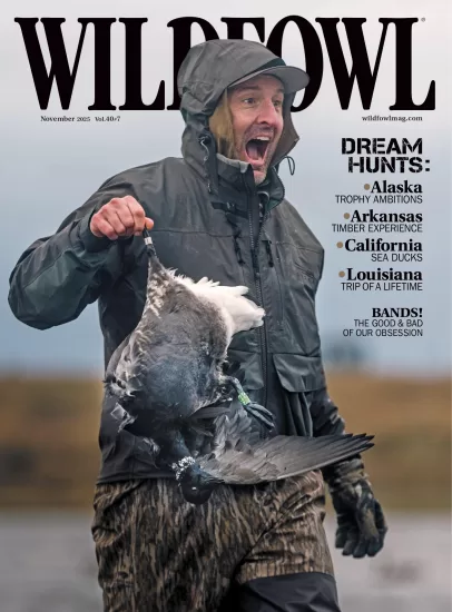 Wildfowl-野禽杂志2025.11月号下载订阅-易外刊-英语外刊杂志电子版PDF下载网站