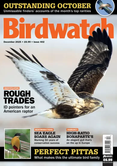 Birdwatch UK-英国观鸟杂志2025.12月号下载订阅-易外刊-英语外刊杂志电子版PDF下载网站