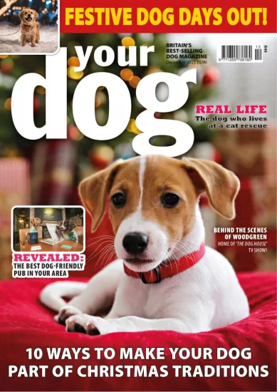Your Dog-你的狗2025.12月号下载PDF电子版网盘杂志订阅-易外刊-英语外刊杂志电子版PDF下载网站