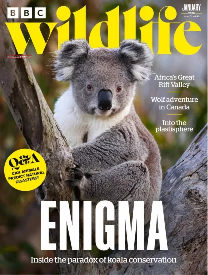 BBC Wildlife-野生动物2026.01月号下载PDF电子版网盘杂志订阅-易外刊-英语外刊杂志电子版PDF下载网站