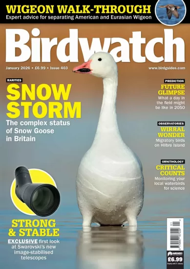 Birdwatch UK-英国观鸟杂志2026.01月号下载订阅-易外刊-英语外刊杂志电子版PDF下载网站