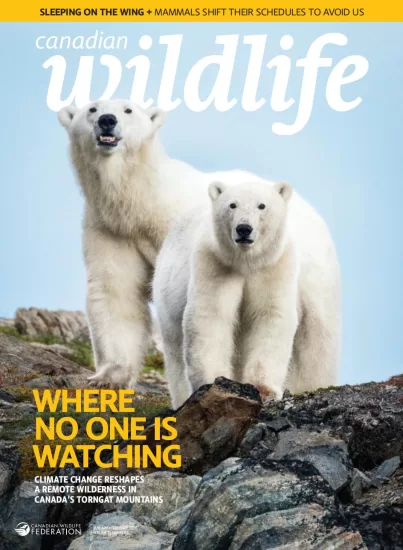 Canadian Wildlife-加拿大野生动物杂志2026.01&02月号下载订阅-易外刊-英语外刊杂志电子版PDF下载网站