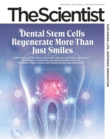 The Scientist-科学家杂志2025年冬季刊下载电子版PDF网盘订阅-易外刊-英语外刊杂志电子版PDF下载网站