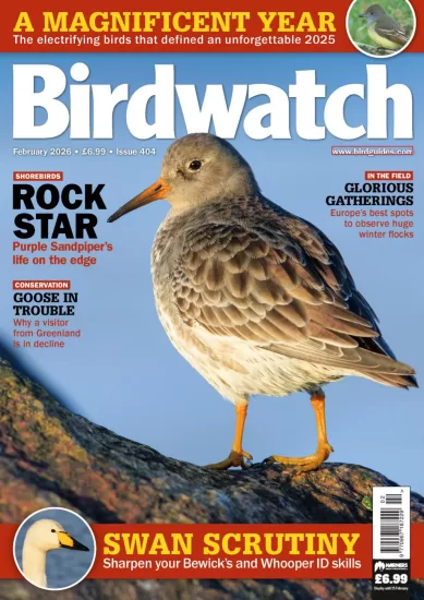 Birdwatch UK-英国观鸟杂志2026.02月号-易外刊-英语外刊杂志电子版PDF下载网站